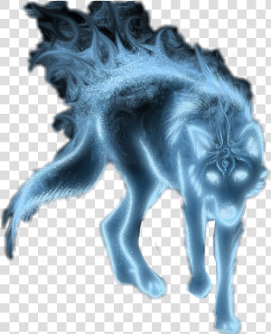  patronus  harry Potter   Wolf Backgrounds  HD Png Download