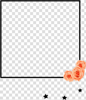  tumblr  tumblrframe  frame  flowerframe  flower  roseframe   Illustration  HD Png Download