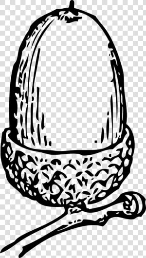 Acorn 1   Free Acorn Clip Art Black And White  HD Png Download