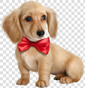 Golden Retriever Puppy Dog Breed   Png Image Cute Dog Transparent Png  Png Download