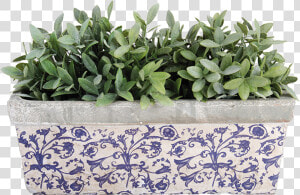 Aged Ceramic Balcony Planter   Blue Ceramic Rectangular Planter Uk  HD Png Download