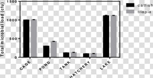 Total Microbial Load On Surfaces Of Tilapia And Catfish   Skyline  HD Png Download