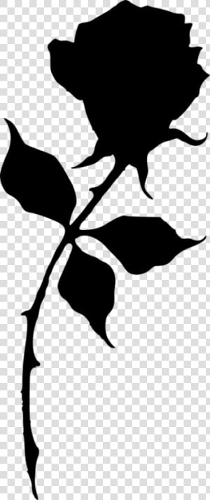 Free Png Rose Silhouette Png Images Transparent   Black Rose Silhouette Png  Png Download