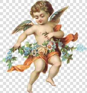 Cherub Victorian Era Drawing Photography  HD Png Download