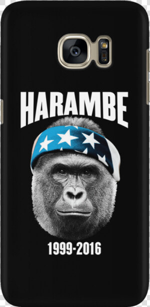 Harambe Png  Transparent Png