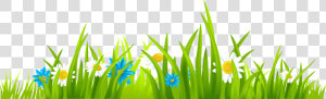 Grass Border Clipart Png   Grass And Flower Vector  Transparent Png