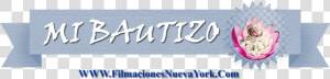 Mi Bautizo Png   Calligraphy  Transparent Png