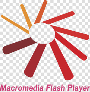 Macromedia Flash Player Logo Png Transparent  Png Download