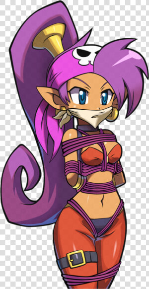 View Samegoogleiqdbsaucenao Pirate Shantae     Png   Shantae Pirate  39 s Curse Portraits  Transparent Png