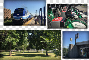 Train Metro Velo Aldea Ahuntsic   Tree  HD Png Download