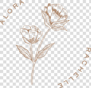 Alora Submark 1   Snow Crocus  HD Png Download