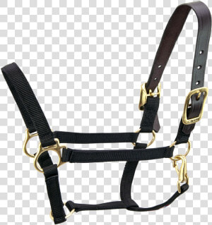 Breakaway 3 4   Horse Halter No Background  HD Png Download