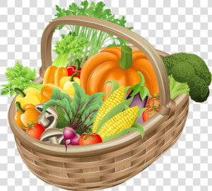 Basket With Vegetables Png Picture Clipart Gallery   Basket Fruits And Vegetables Clipart  Transparent Png