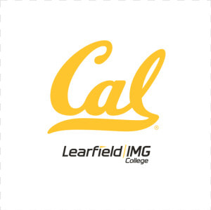 Cal Bears  HD Png Download