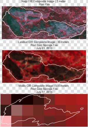 Cir Composite Images From Naip  Landsat  And Modis   Map  HD Png Download