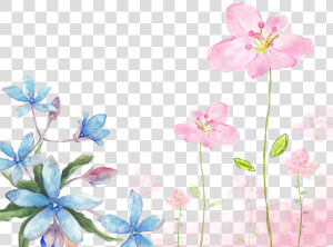 This Graphics Is Hand Painted Watercolor Flowers Decorative   Water Color Flower Background  HD Png Download