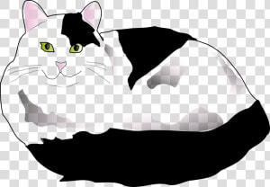 Black And White Fluffy Cat Clipart  HD Png Download