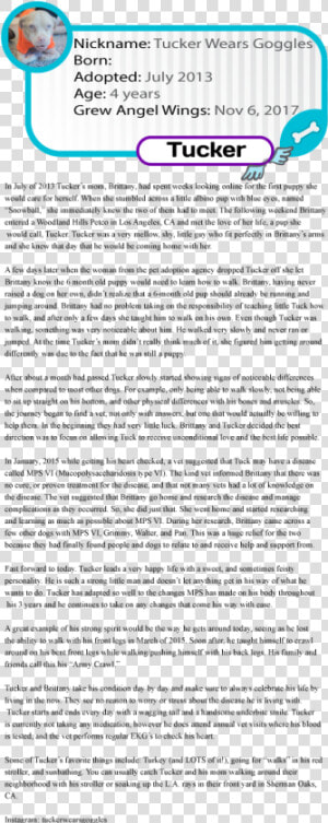 Text Page   Holy Land   The Necropolis  HD Png Download