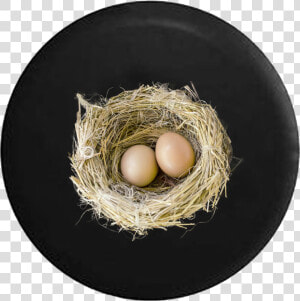 Birds Nest With Baby Bird Eggs Jeep Camper Spare Tire   Nest Png  Transparent Png