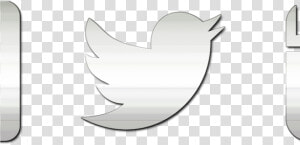 Transparent Twitter Clipart   Twitter Logo Mirrored  HD Png Download