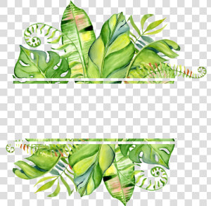 Pintado A Mano De Png De Hoja Png Transparente   Watercolor Tropical Leaves Border  Png Download