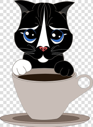 Cat  Pet  Cup  Coffee  Tea  Kitten  Tender  Puppy   Cafe Gato Png  Transparent Png