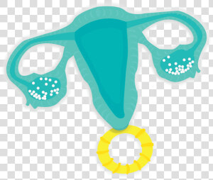 Uterus Rattle Clipart   Png Download  Transparent Png