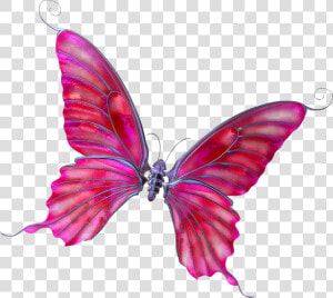 Mariposas De Dibujo Fondo Transparente  HD Png Download