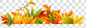 Fall Clipart Autum   Fall Clipart Transparent Background  HD Png Download