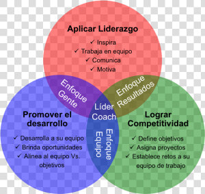 Desarrollo De Competencias De Liderazgo  HD Png Download