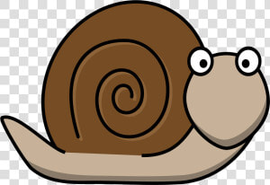 Snail  Animal  Fun  Surprised  Snail Shell  Shell   Snail Clipart  HD Png Download