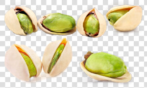 Pistachio Png Transparent Images   Pistachios Png  Png Download