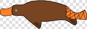 Marine Mammal clip   Platypus Png  Transparent Png