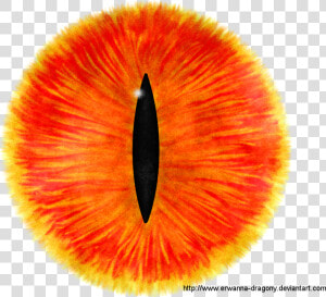 Eye Transparent Png Pictures Icons And Png Backgrounds   Eye Of Sauron Icon  Png Download