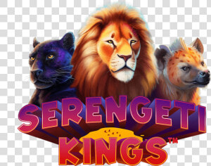 Serengeti Kings Slot Game  HD Png Download