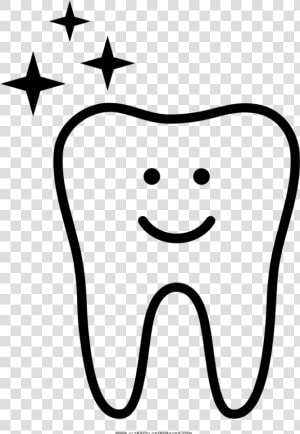 Drawing Tooth Basic   Dente Desenho Png  Transparent Png