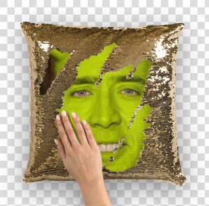 Nicolas Cage As Shrek ﻿sequin Cushion Cover Class   Nicolas Cage Shrek Pillow  HD Png Download