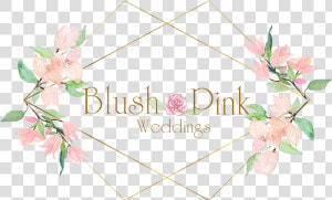 Blush Flower Png   Pink Blush Flowers Transparent  Png Download