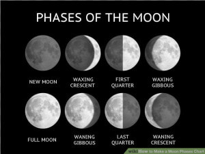 Phase Is The Moon In Tonight  HD Png Download