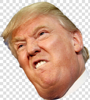 Angry Side Face Trump   Donald Trump Face Transparent  HD Png Download