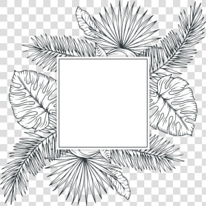  freetoedit  overlay  blackandwhite  template  handdrawn   Tropical Leaf Png Black And White  Transparent Png