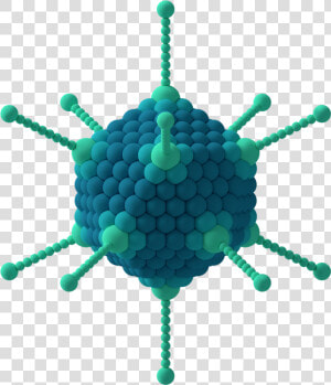 Adenovirus 3d Schematic   Virus Adenovirus  HD Png Download