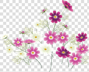 Transparent Wild Flower Clipart   Pink Wildflower Clipart  HD Png Download