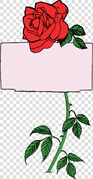 Rose Frame   Colour   Rose Frame Clip Art Free  HD Png Download