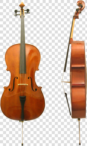 Fugue Cello Fc 1000   Parts Of A Cello  HD Png Download