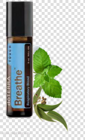 Doterra Breathe Touch Roller Bottle Pre Diluted   Breathe Doterra  HD Png Download