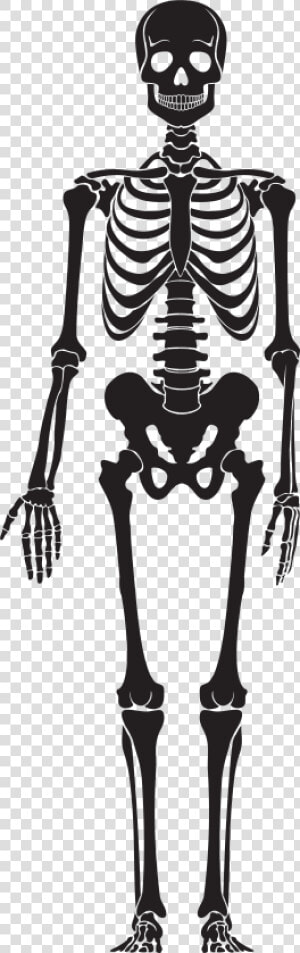 Skeleton Png Clip Art   Black Skeleton Png  Transparent Png