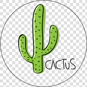 Iconos De Cactus Png  Transparent Png