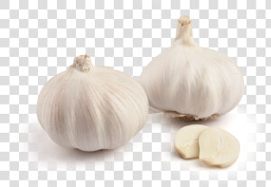 Inicio Ajo Blanco Elephant Garlic   Elephant Garlic  HD Png Download