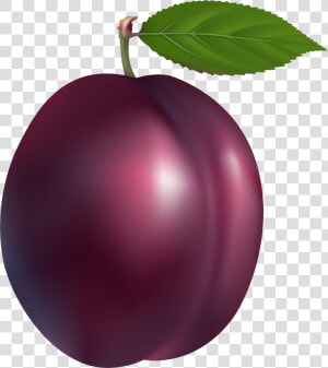 Clipart Fruit Purple Fruit   Plum Clipart  HD Png Download